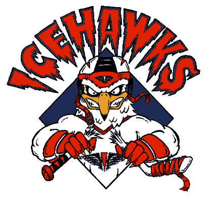 anaheim.jpg (40932 bytes)